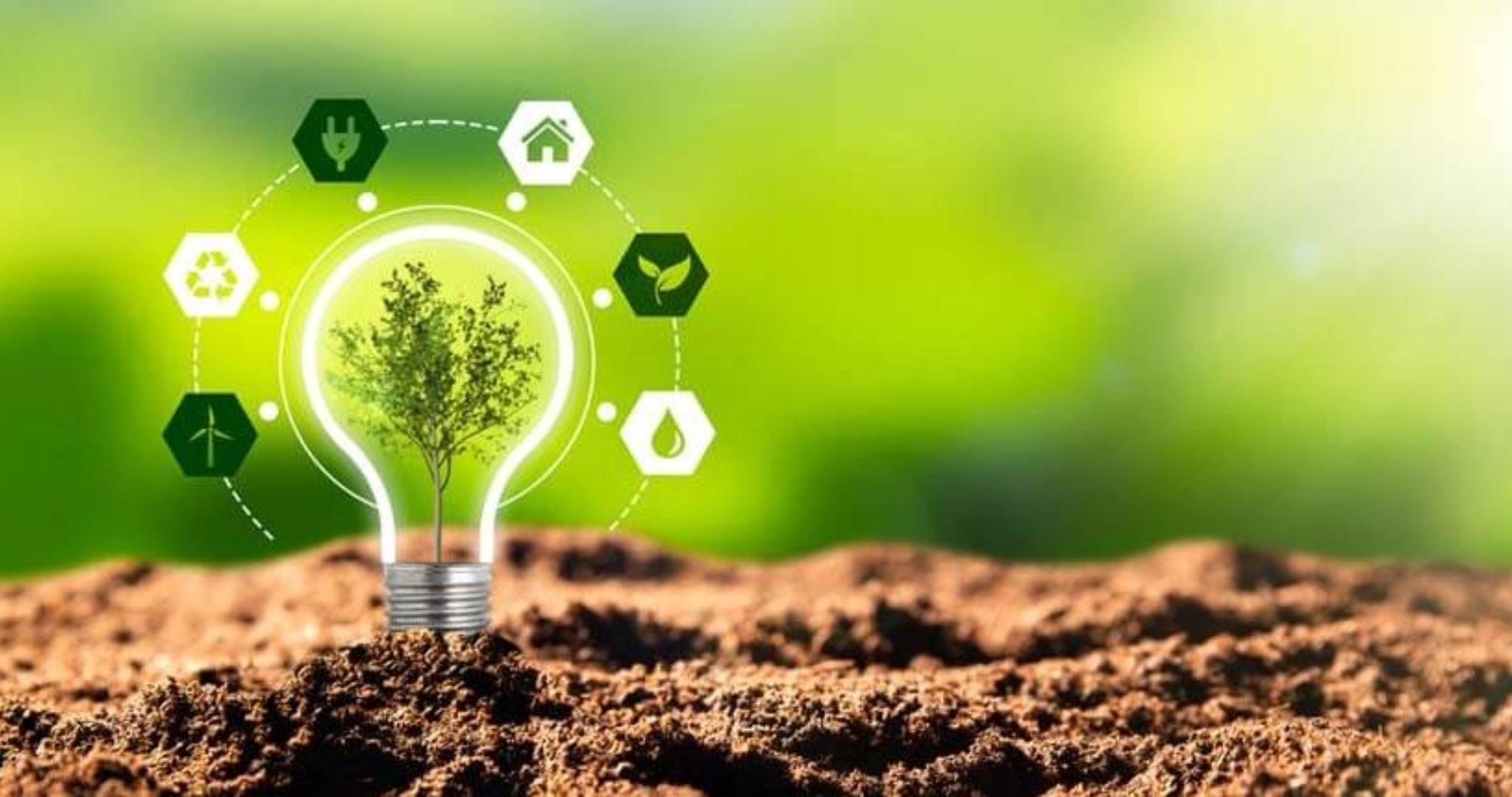 Renewable Energy